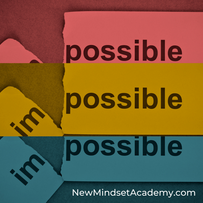 reveal what drives your success- New Mindset Academy